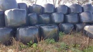 Gandy Granular Applicators pasture gold water soluble applicator